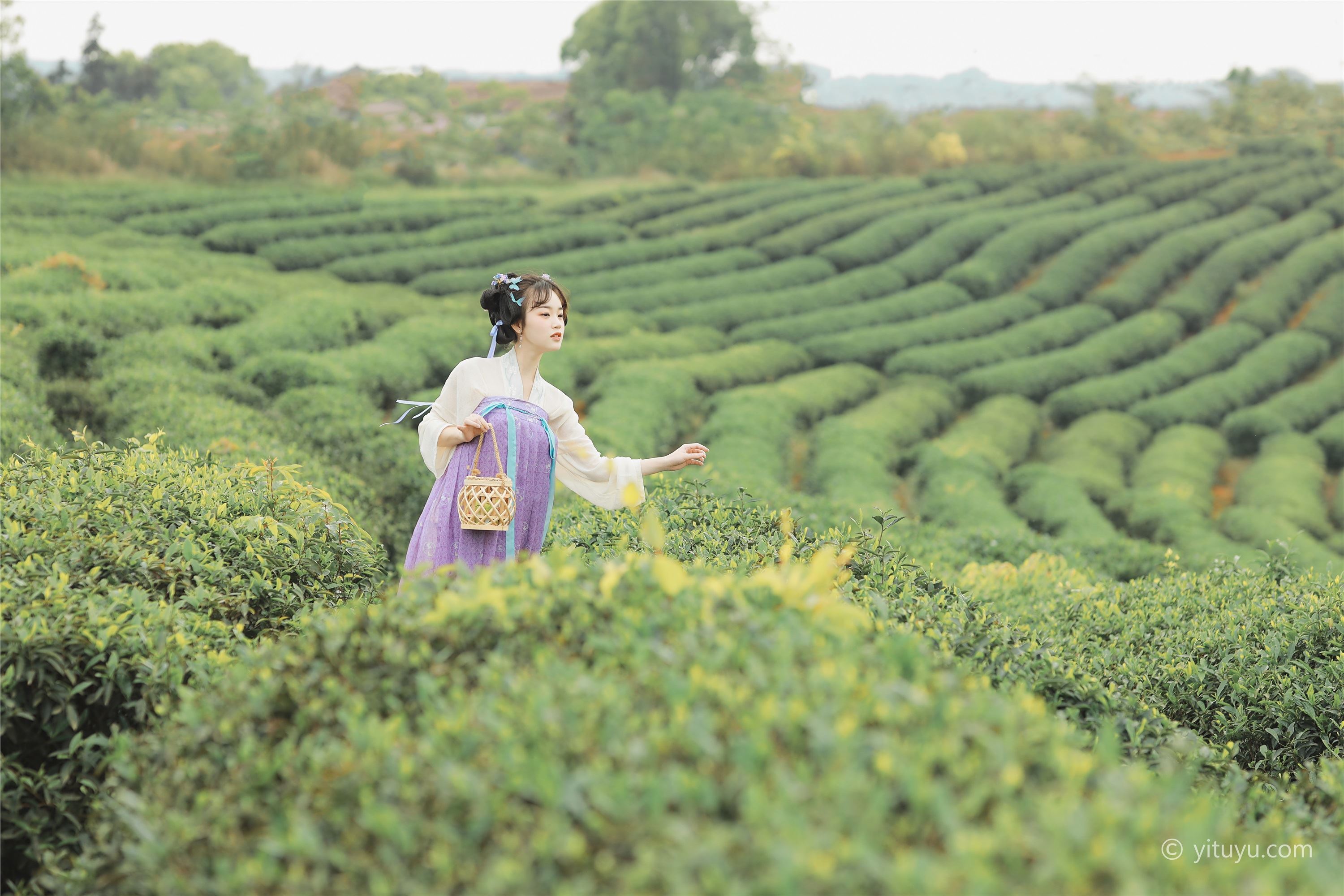 YITUYU艺图语  2021.06.02 青青白茶 柚子